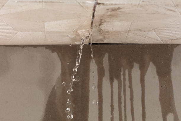Professional Structural Drying technician working in New Straitsville, OH